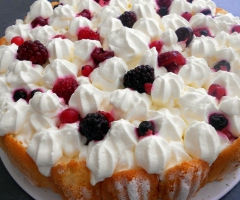 Gateau fruit biscuit à la cuillere